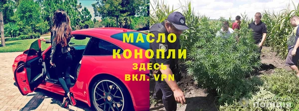 дмт Пересвет