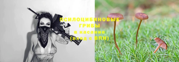 прущие крисы Пестово
