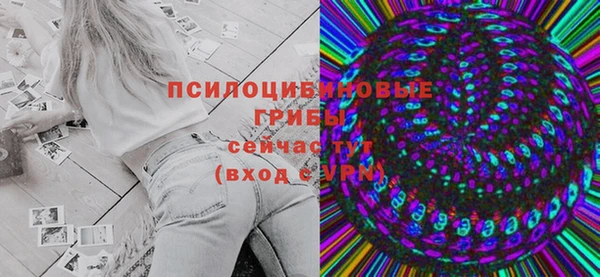 дмт Пересвет