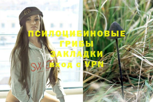 прущие крисы Пестово