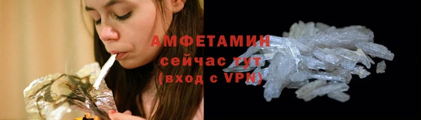 шишки Осташков