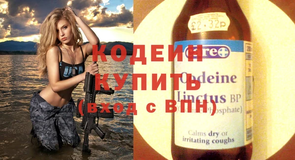 дмт Пересвет