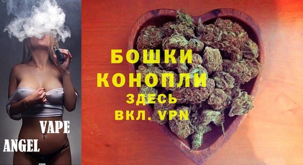 дмт Пересвет