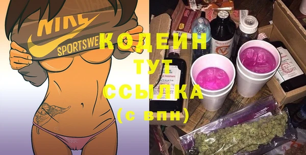 дмт Пересвет