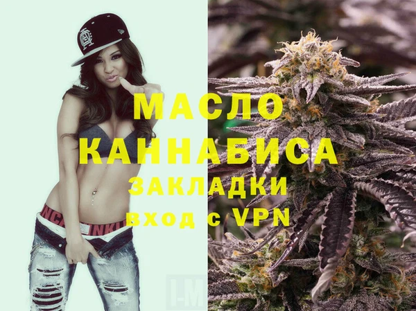 дмт Пересвет
