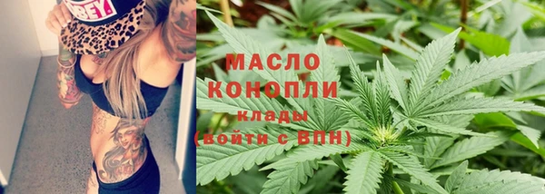 дмт Пересвет