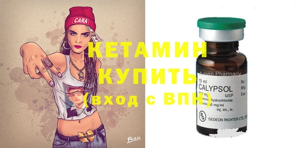 дмт Пересвет